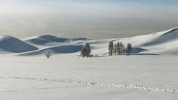 โรงแรมใกล้ สนามบิน เวสต์เยลโลว์สโตน Yellowstone