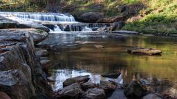 โรงแรมใกล้ สนามบิน Pitt-Greenville