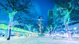 โรงแรมใกล้ สนามบิน โตรอนโต Hamilton