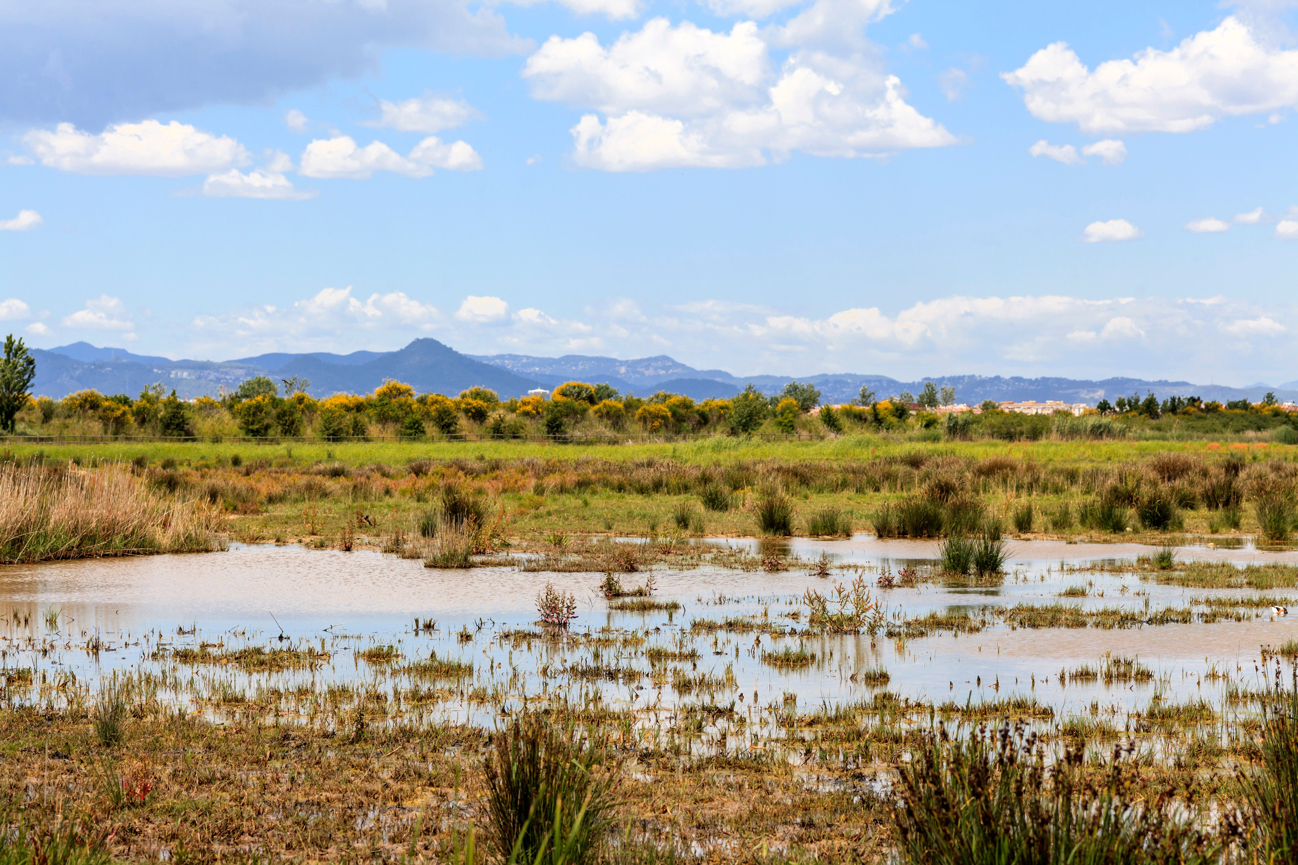 รถเช่าในเอล ปรัต เดอ โลบรีกัท