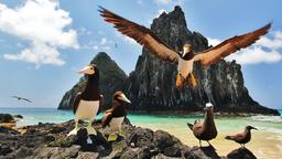 โรงแรมใกล้ เฟอร์นันโด เด โนรงญา Fernando De Noronha