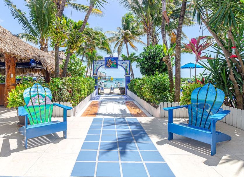 ลาน รูปภาพ