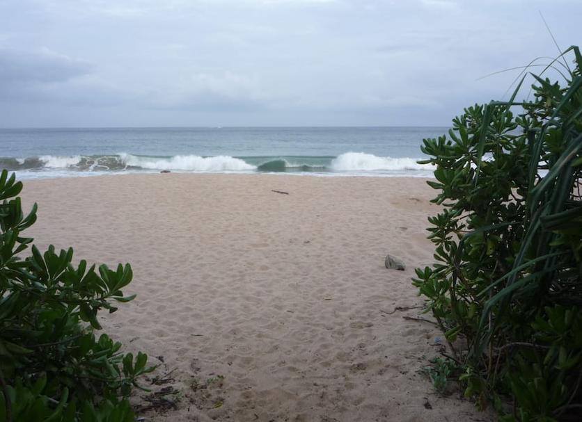 ชายหาด รูปภาพ