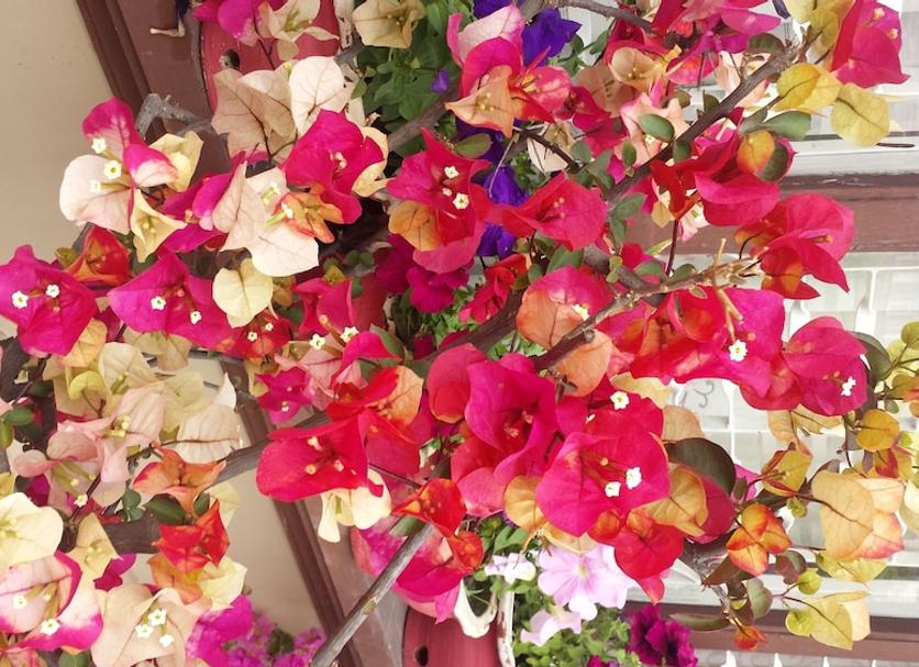 วิวภายนอก รูปภาพ