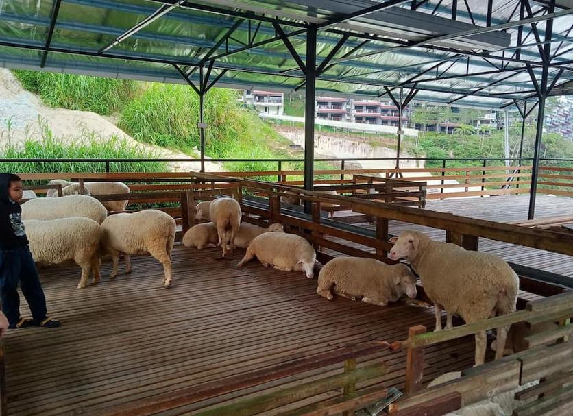 อื่น ๆ รูปภาพ
