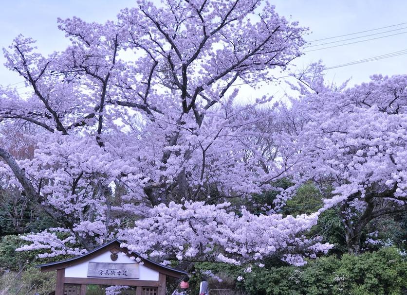วิวภายนอก รูปภาพ