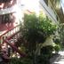 วิวภายนอก