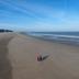 ชายหาด
