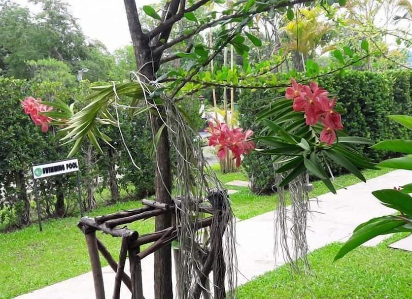 วิวภายนอก รูปภาพ