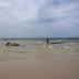 ชายหาด