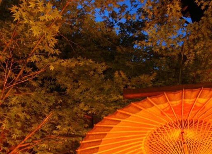 อื่น ๆ รูปภาพ