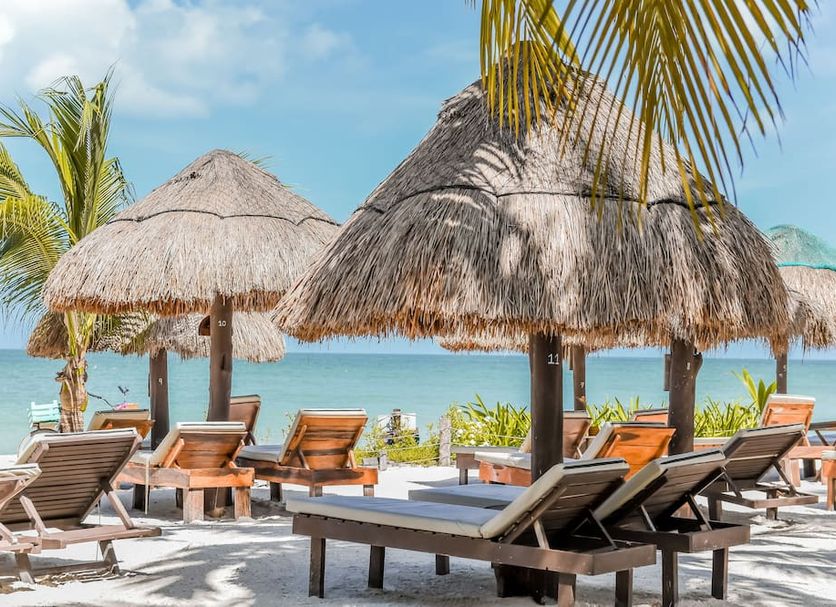 ลาน รูปภาพ