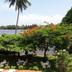 วิวภายนอก