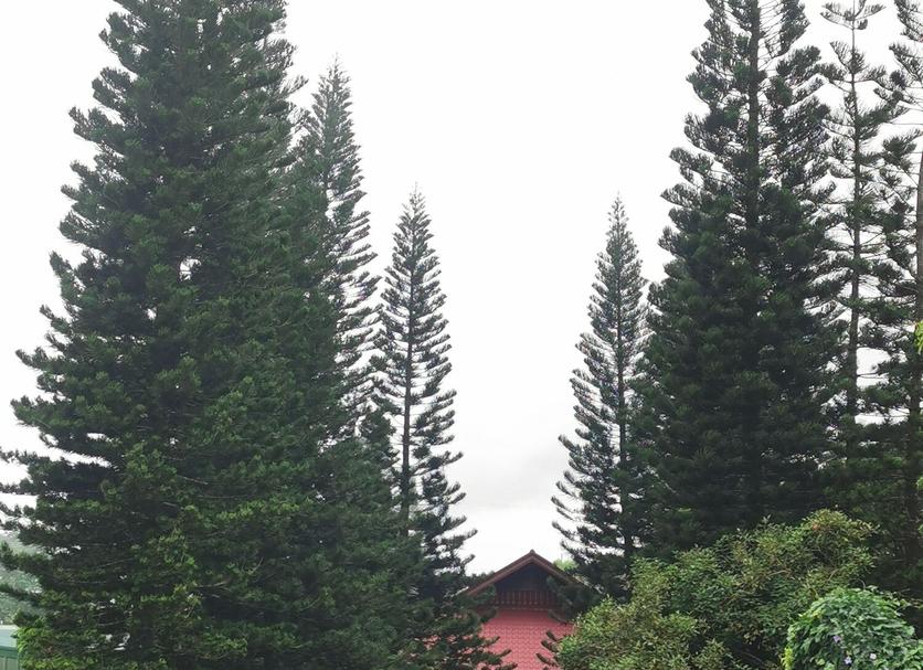 วิวภายนอก รูปภาพ