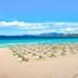 ชายหาด
