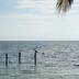 ชายหาด