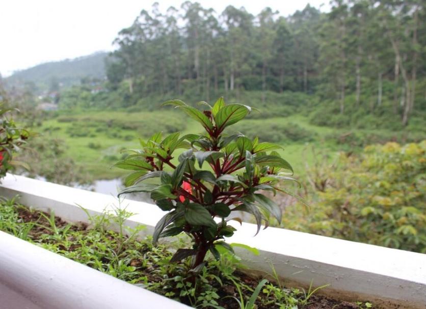 วิวภายนอก รูปภาพ