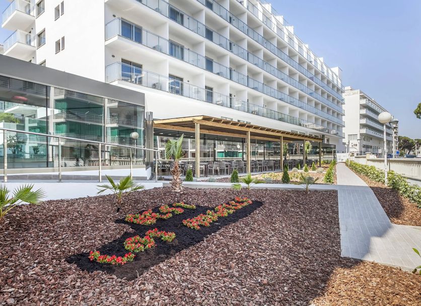 อื่น ๆ รูปภาพ