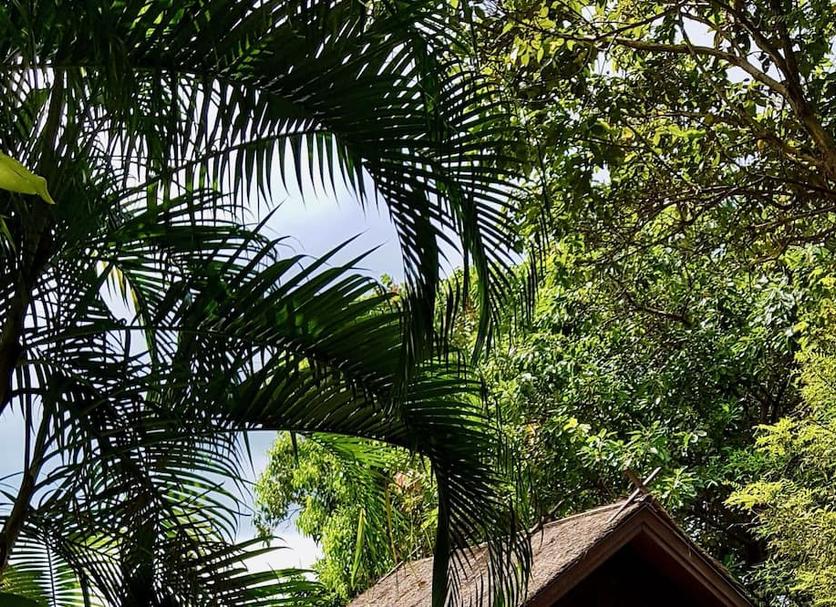 วิวภายนอก รูปภาพ