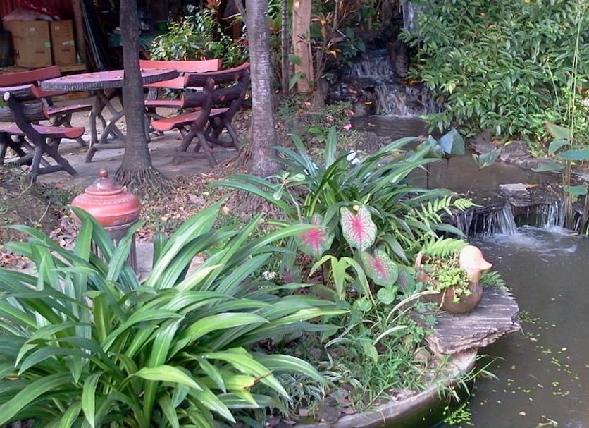 ลาน รูปภาพ