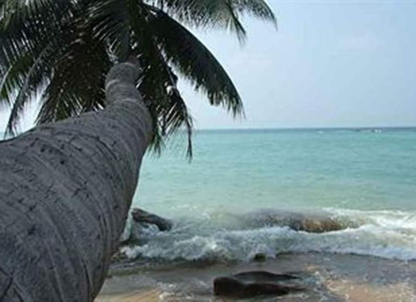 อื่น ๆ รูปภาพ