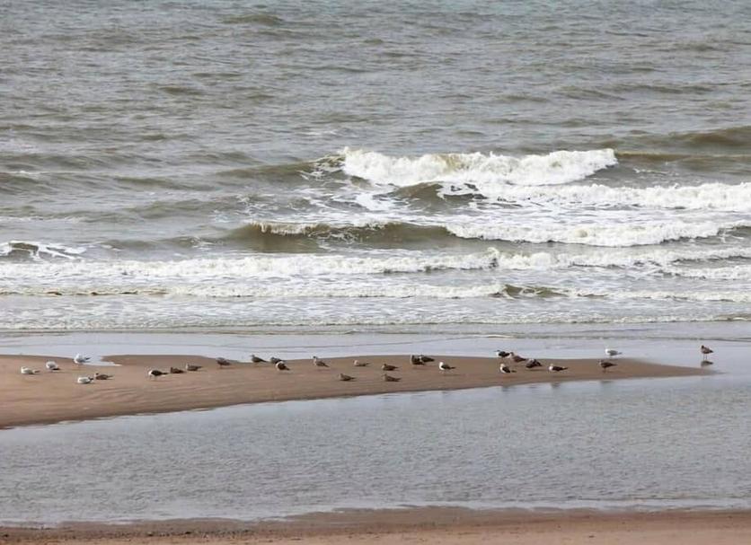 ชายหาด รูปภาพ