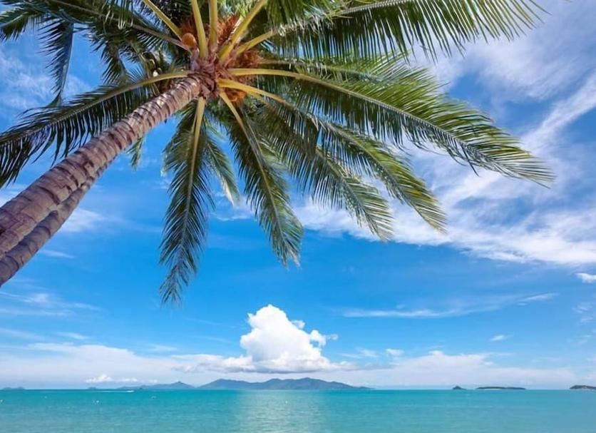 ชายหาด รูปภาพ