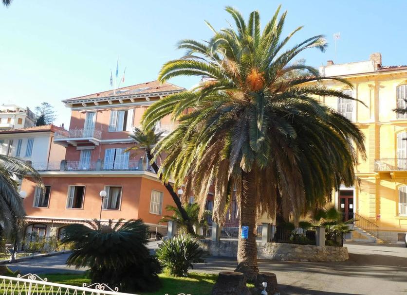 อื่น ๆ รูปภาพ