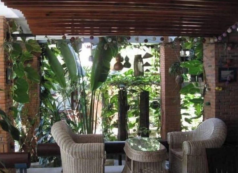 ลาน รูปภาพ