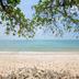 ชายหาด