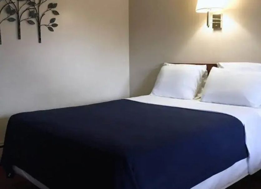 อื่น ๆ รูปภาพ