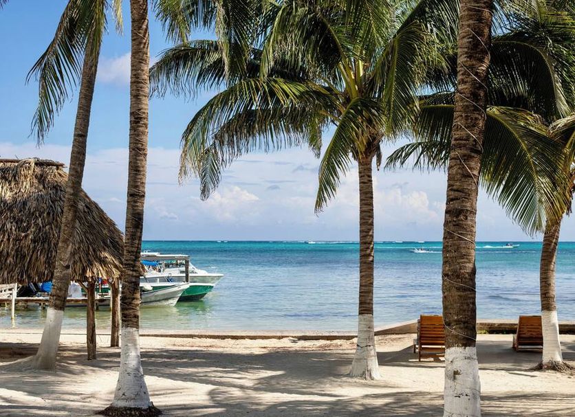 ชายหาด รูปภาพ