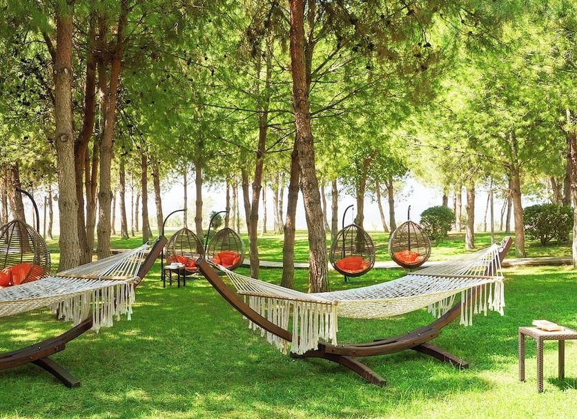 ลาน รูปภาพ