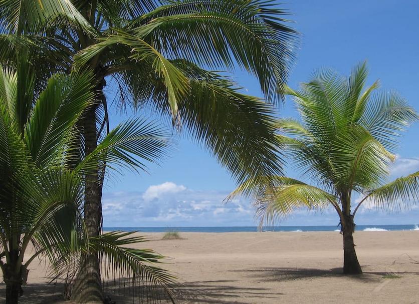ชายหาด รูปภาพ