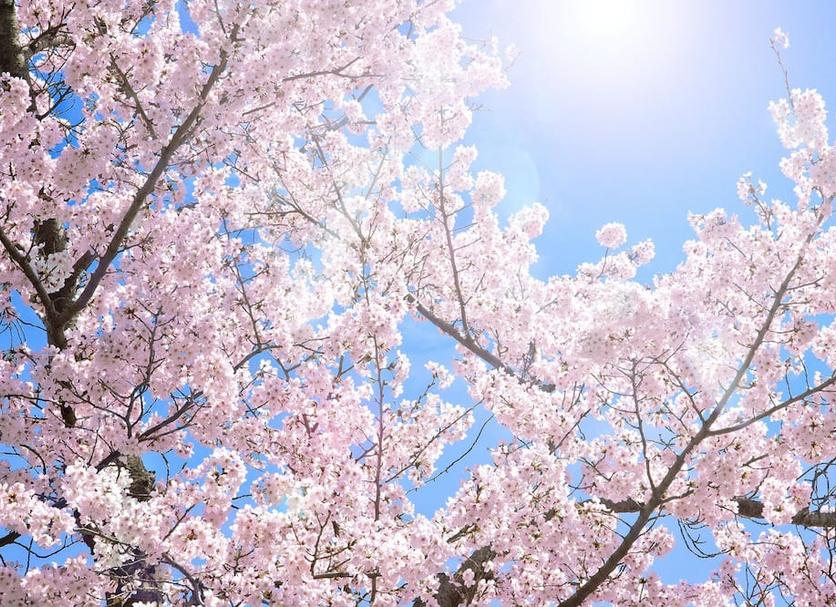 วิวภายนอก รูปภาพ