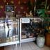 ร้านค้า