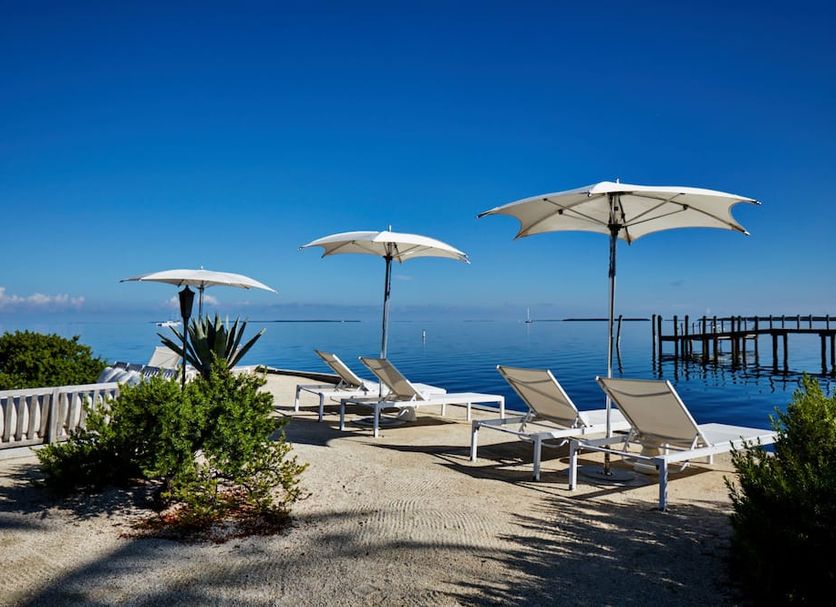 ลาน รูปภาพ