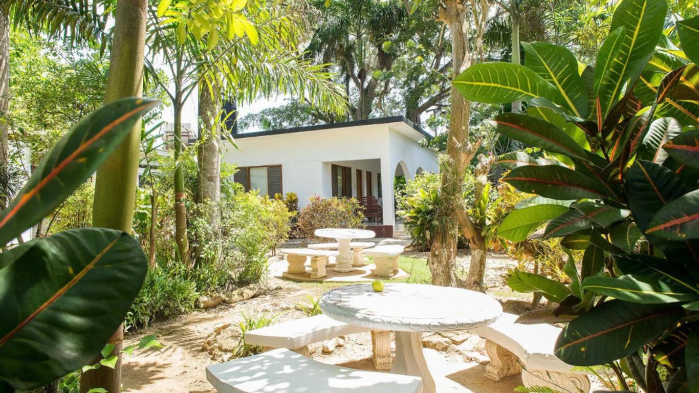 Negril Yoga Centre
