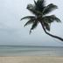 ชายหาด