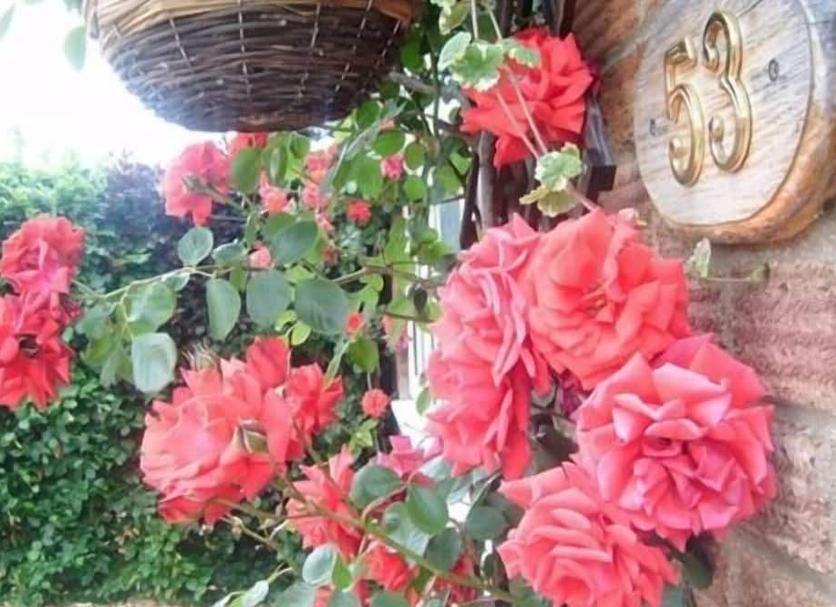 วิวภายนอก รูปภาพ