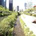 วิวภายนอก