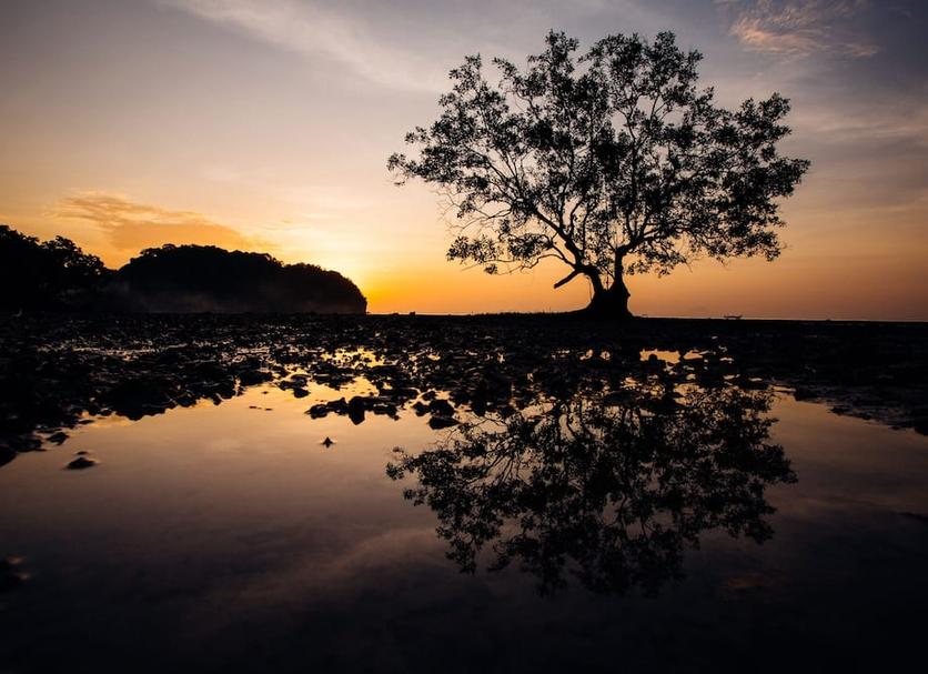 วิวภายนอก รูปภาพ