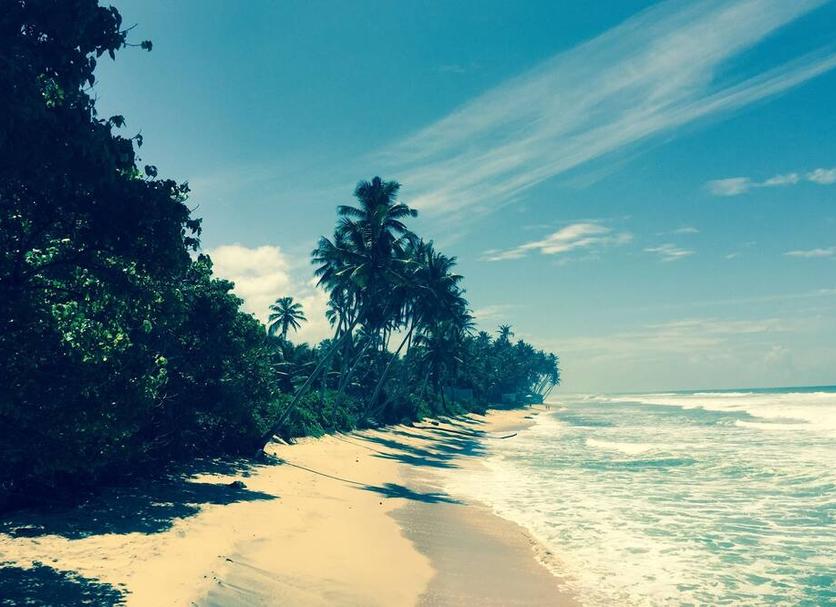 ชายหาด รูปภาพ