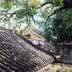 วิวภายนอก