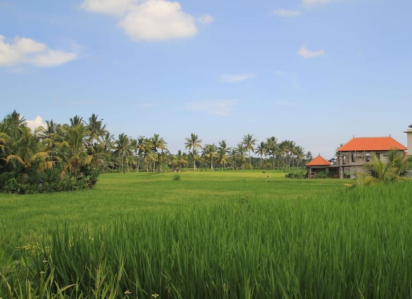 วิวภายนอก รูปภาพ