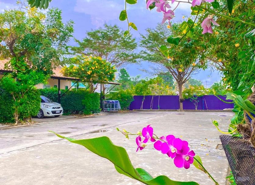 วิวภายนอก รูปภาพ