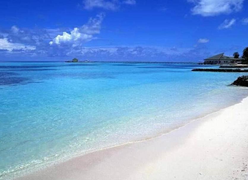 ชายหาด รูปภาพ
