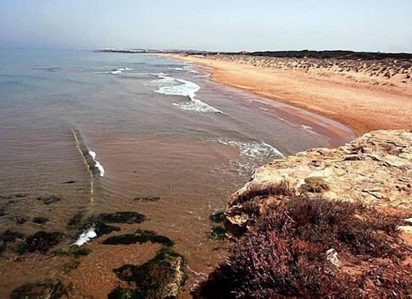 ชายหาด รูปภาพ