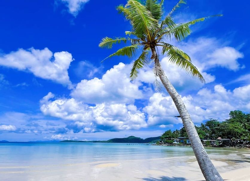 ชายหาด รูปภาพ