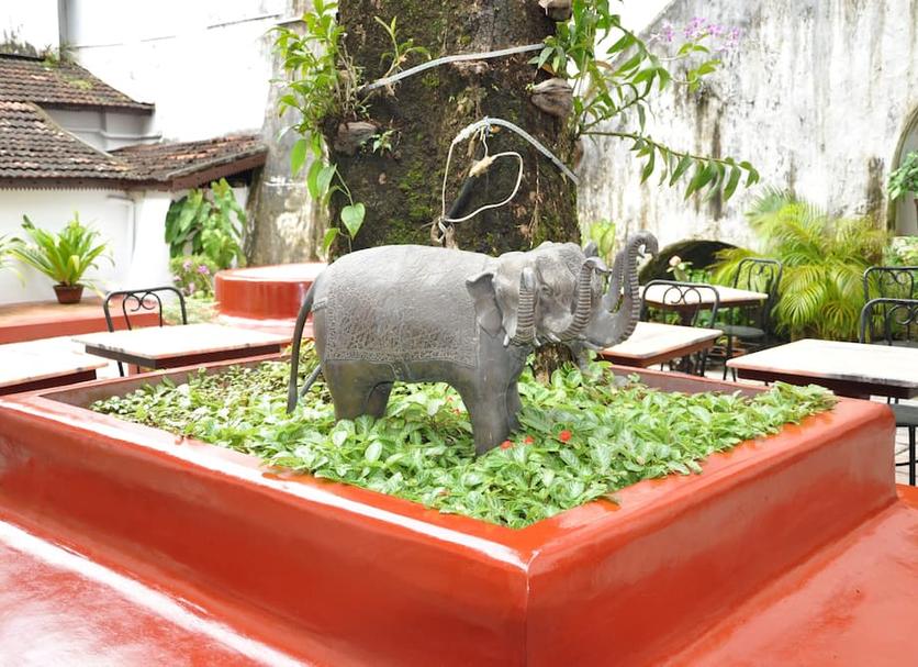 อื่น ๆ รูปภาพ